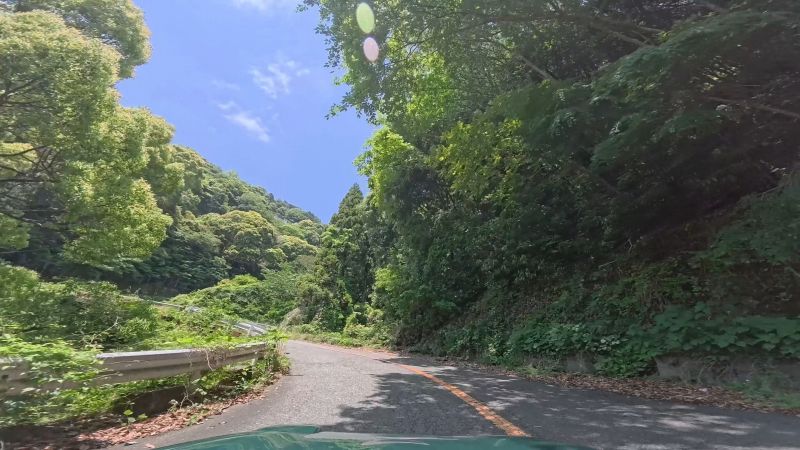 頼朝ライン